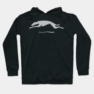 SIGHTHOUND/GREYHOUND LOVERS Hoodie